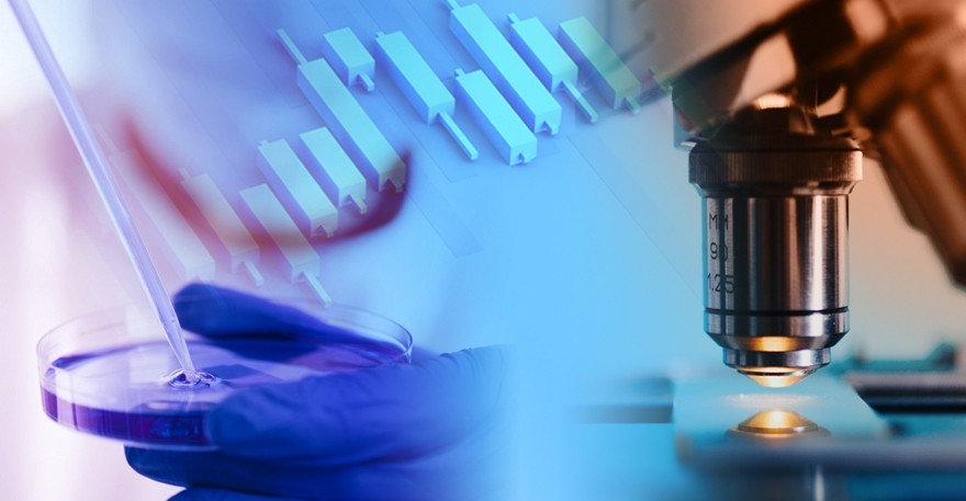 뇌까지 보내는 기술 현실화...BBB 플랫폼 경쟁 본격 점화 - 뉴스 썸네일 이미지