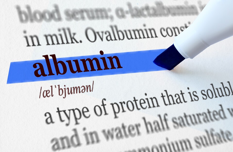 알부민 식품 부당광고 관련 보도 이미지